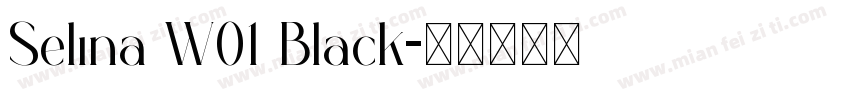 Selina W01 Black字体转换